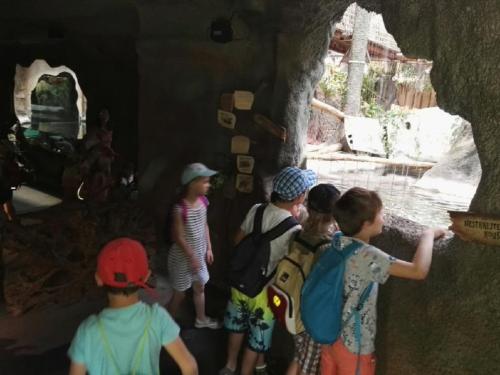 stac5beenc3bd-soubor-12 (1) (1) (1) (1)