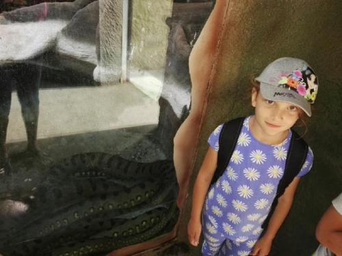 stac5beenc3bd-soubor-13 (1) (1) (1) (1)