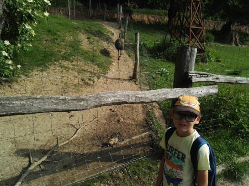 stac5beenc3bd-soubor-3 (1) (1) (1) (1)