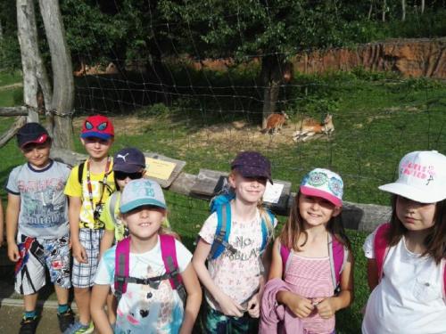 stac5beenc3bd-soubor-6 (1) (1) (1) (1)